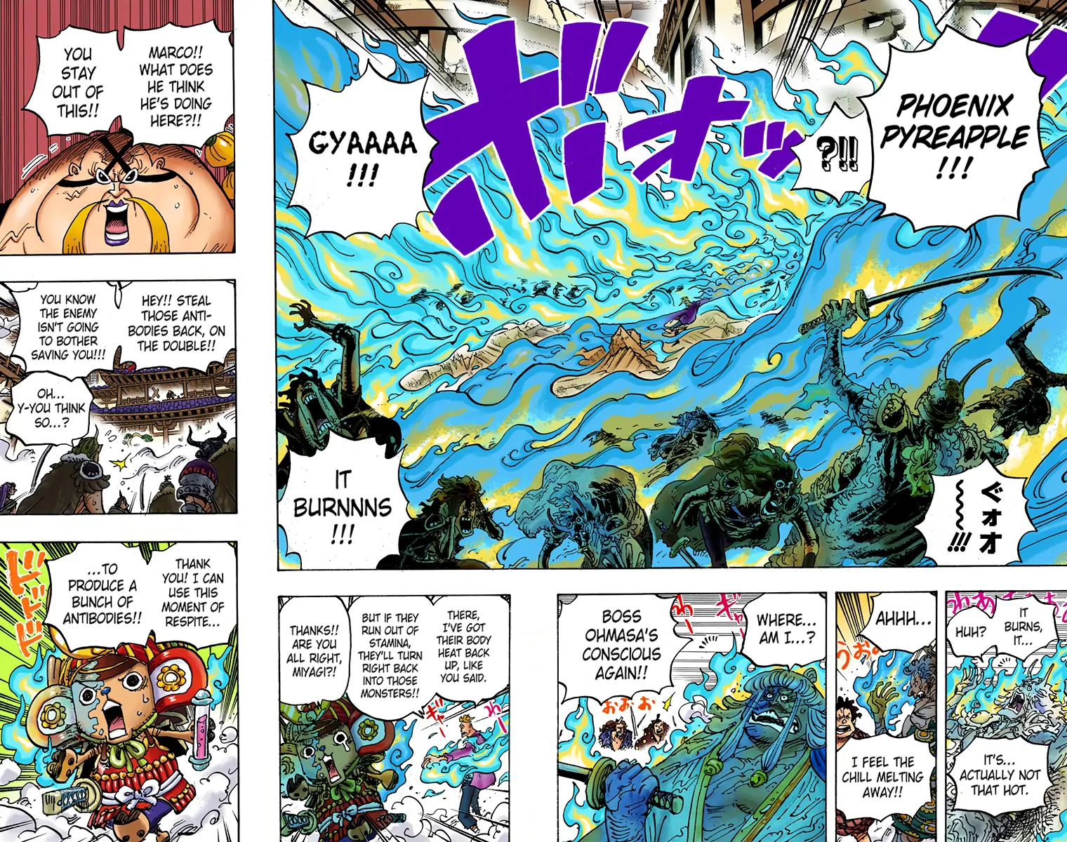 One Piece - Digital Colored Comics Chapter 998 4